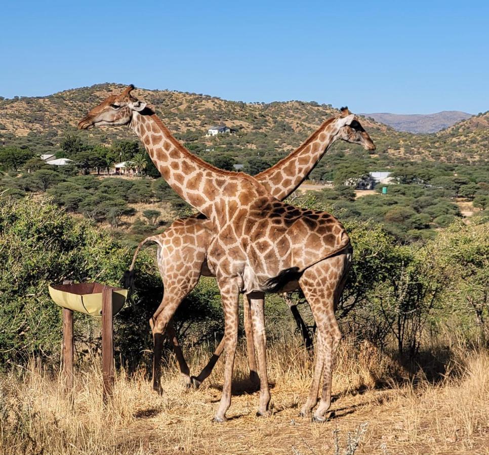 Windhoek Game Camp Lafrenz Township Екстер'єр фото