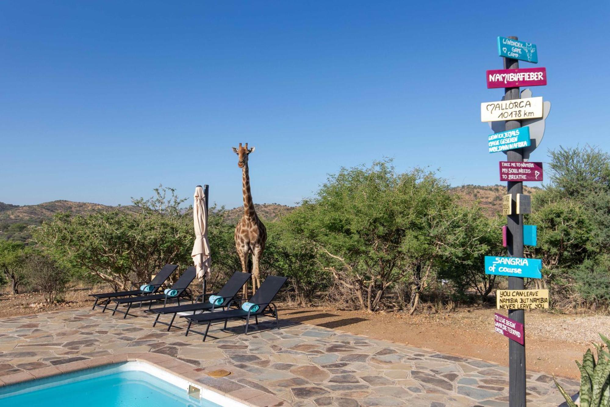 Windhoek Game Camp Lafrenz Township Екстер'єр фото