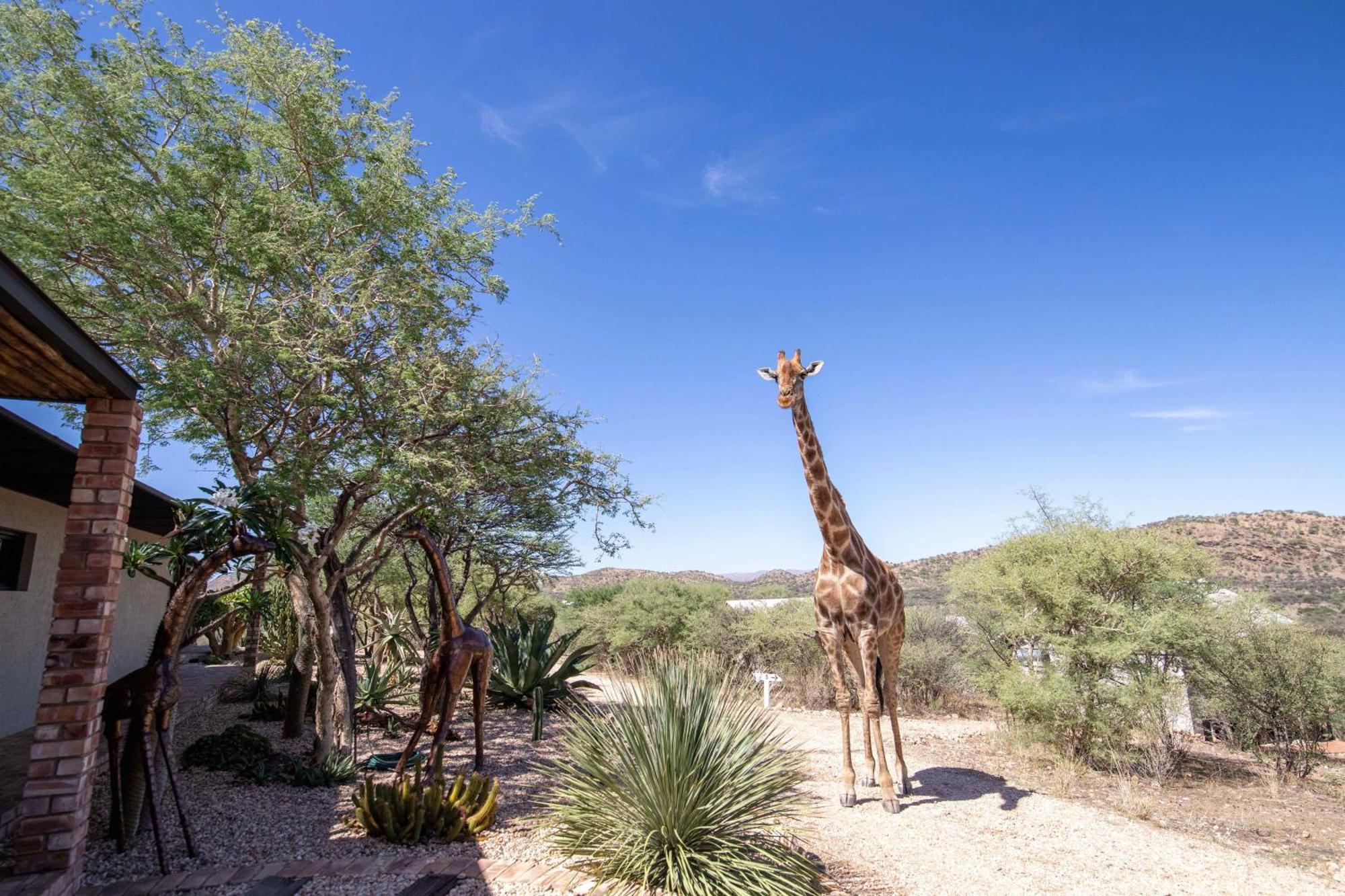 Windhoek Game Camp Lafrenz Township Екстер'єр фото