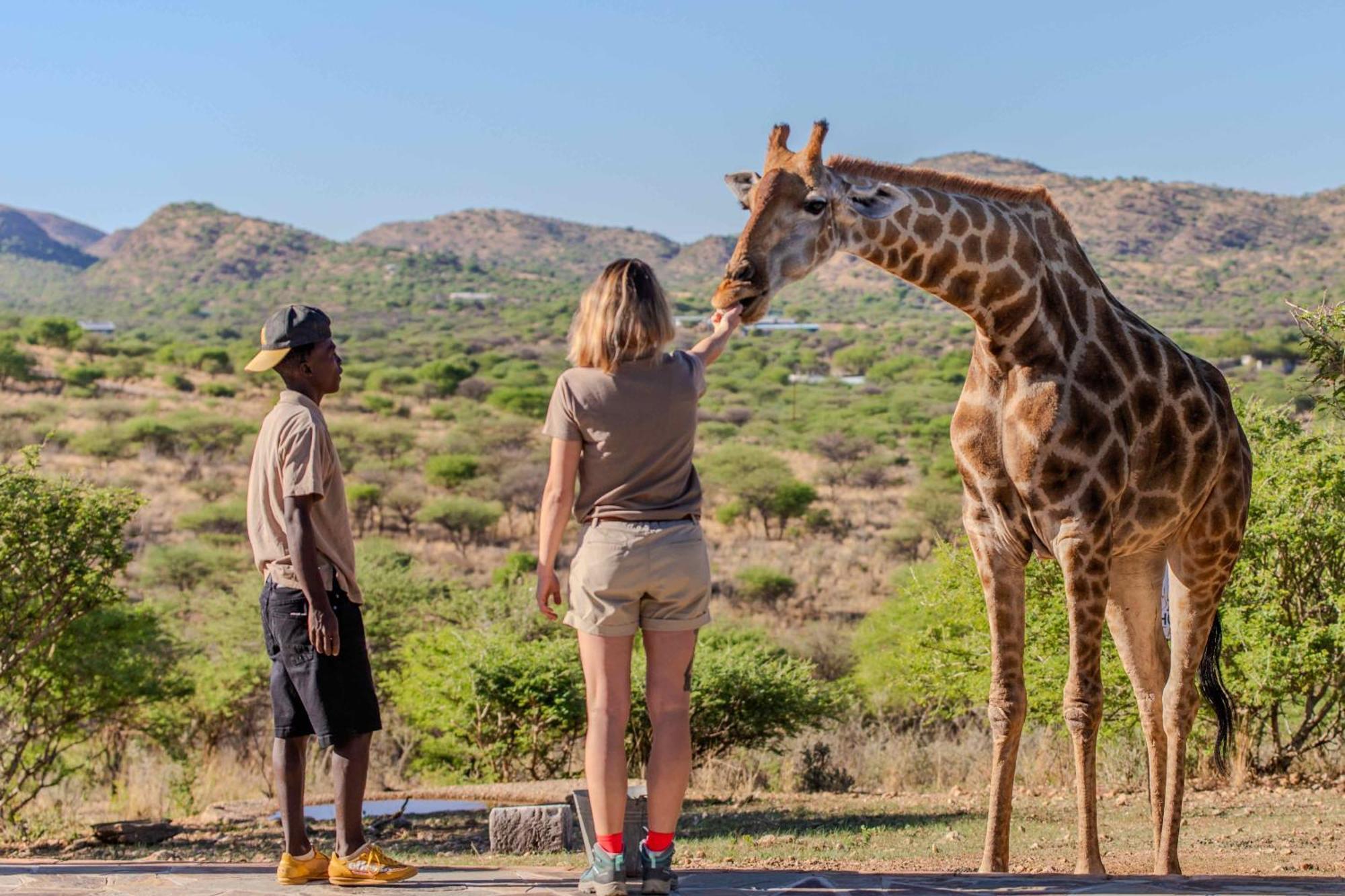 Windhoek Game Camp Lafrenz Township Екстер'єр фото