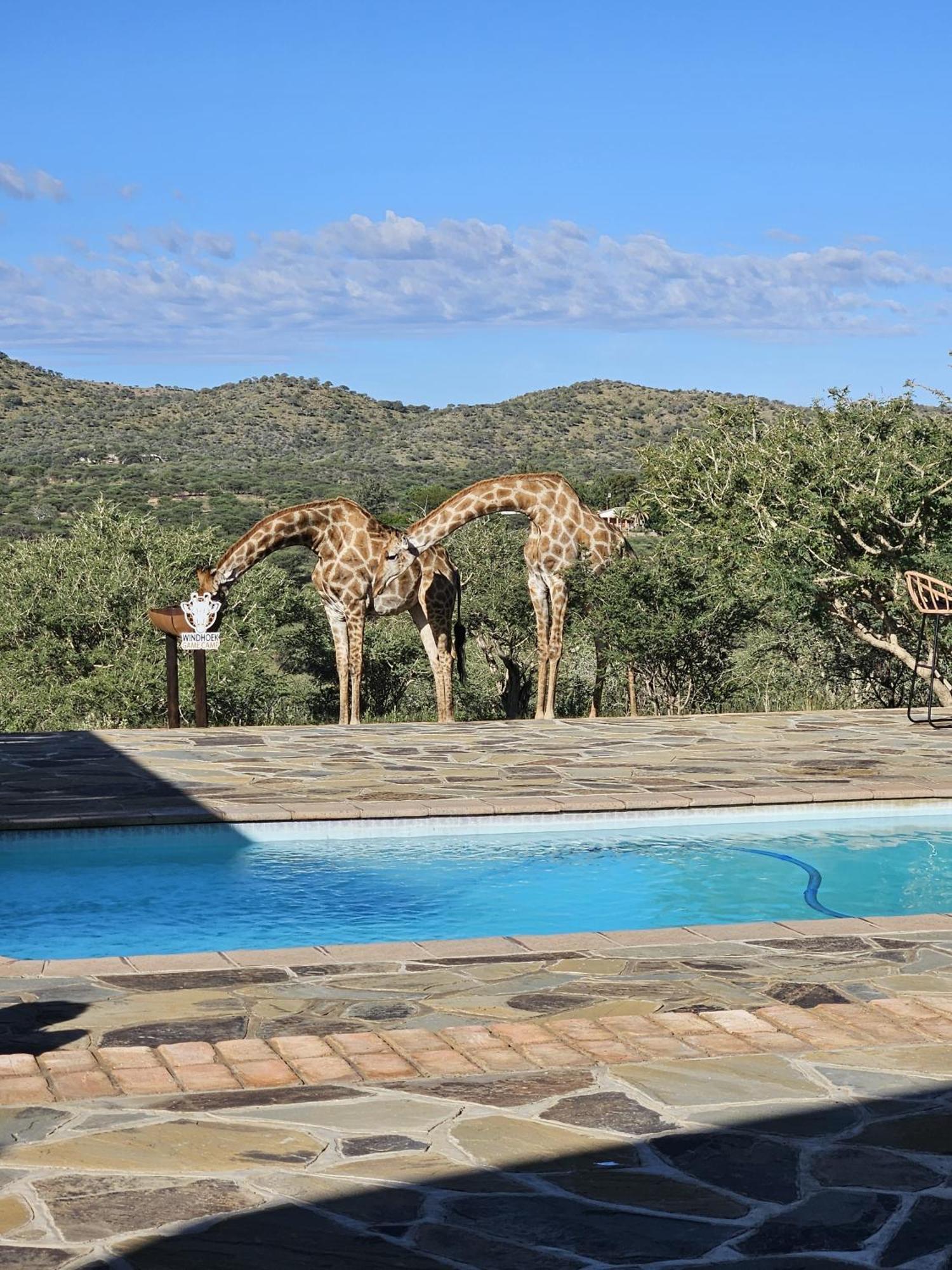 Windhoek Game Camp Lafrenz Township Екстер'єр фото