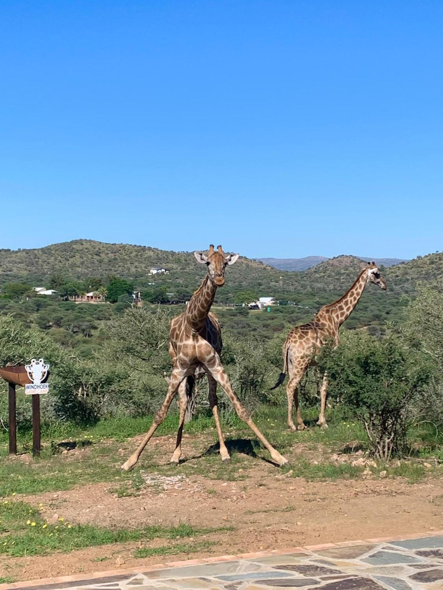 Windhoek Game Camp Lafrenz Township Екстер'єр фото