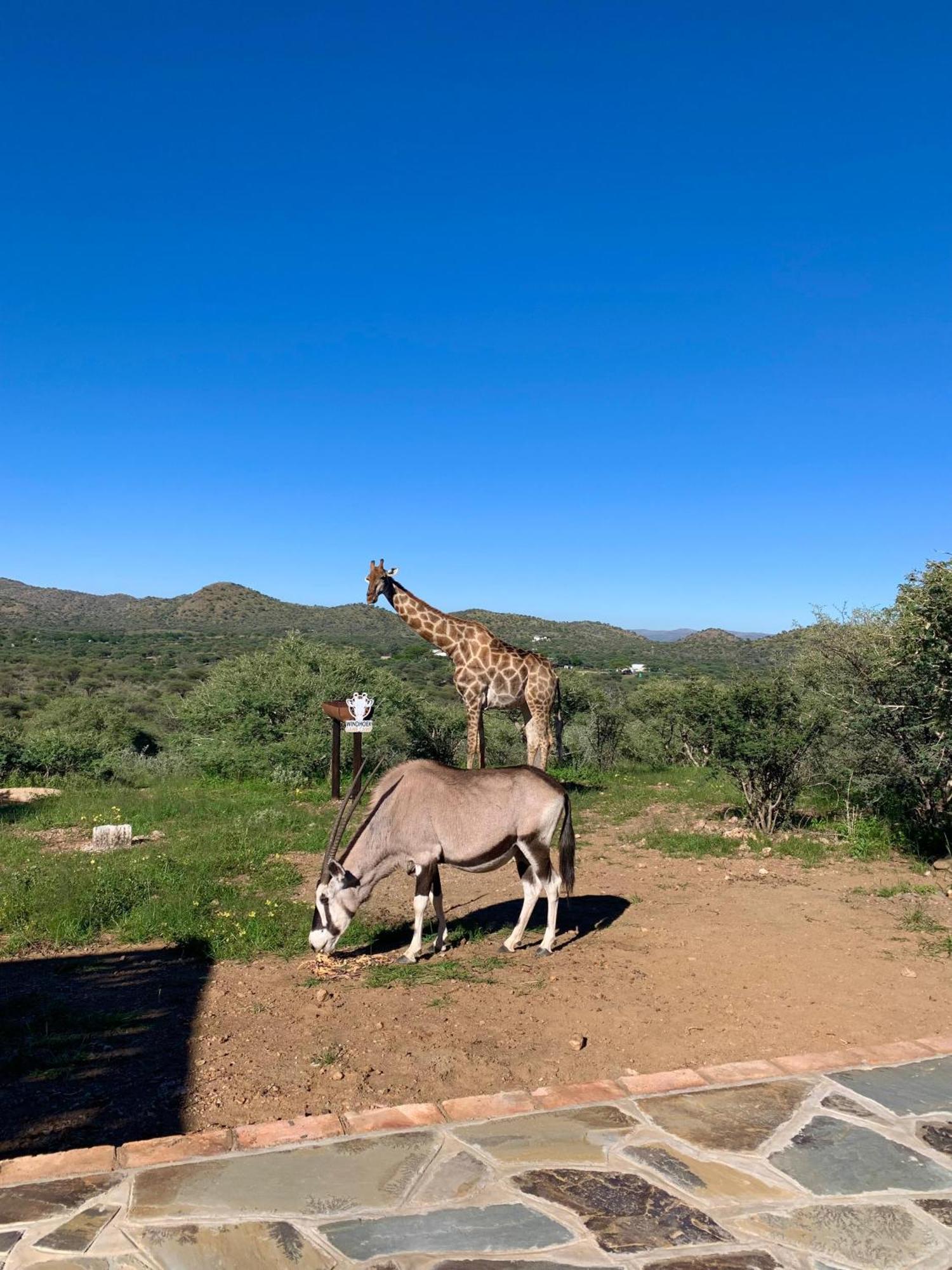 Windhoek Game Camp Lafrenz Township Екстер'єр фото